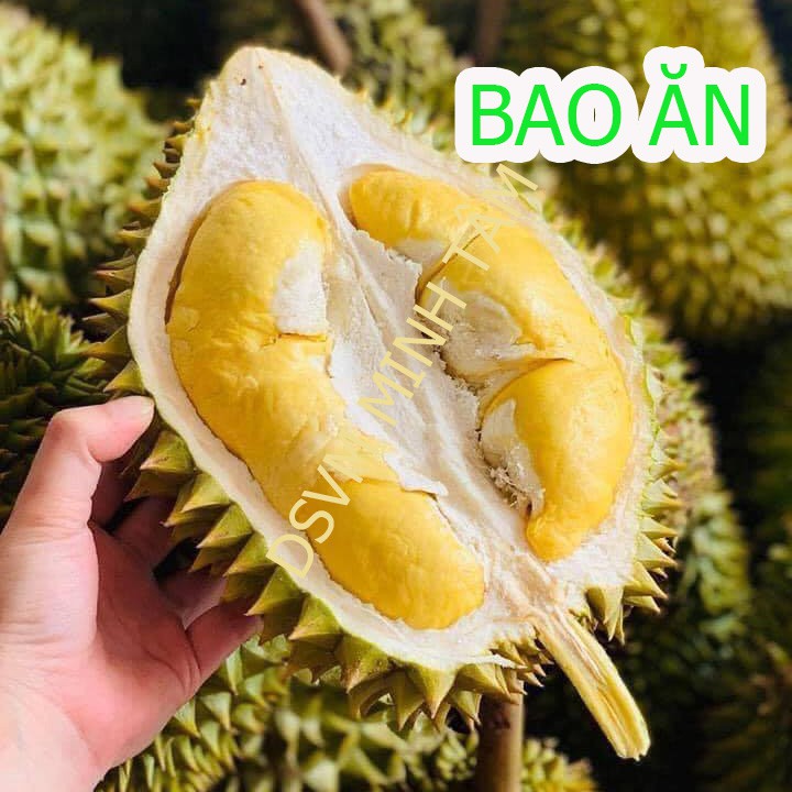 Cơm Sầu riêng ri6 loại 1 ăn liền thơm ngon bổ dưỡng loại 1kg Bao Ăn Từng Múi [CHỈ GIAO TPHCM]