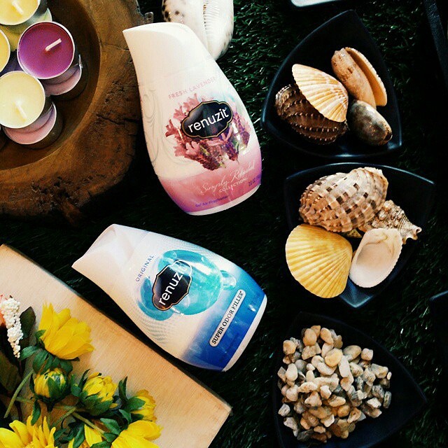 Sáp thơm Renuzit Made in USA