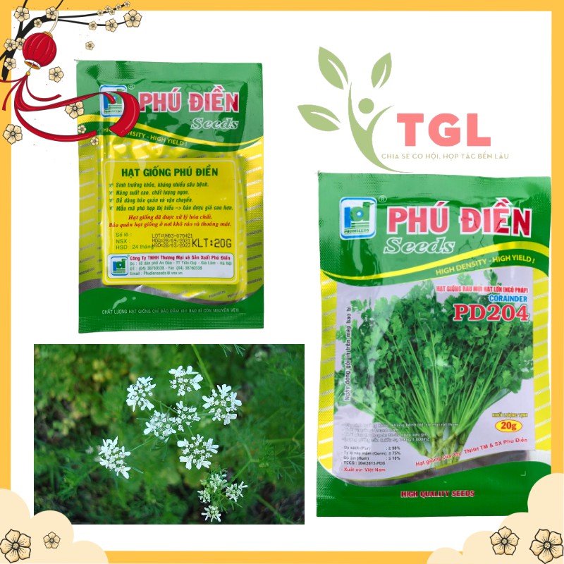 Hạt Giống Rau Mùi Hạt Lớn, Ngò Pháp Phú Điền, Hạt giống rau củ quả chất lượng tốt - Gói 20 Gram