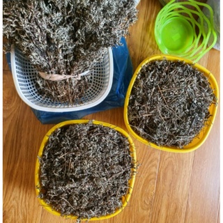Cây ngải cứu khô thơm ngon loại 500g