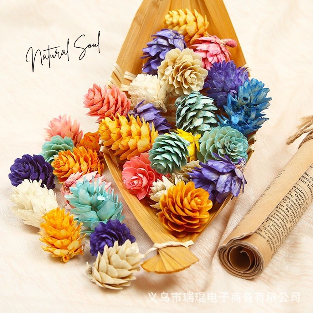 Trái Thông Khô Nhiều Màu  Shop Natural Soul
