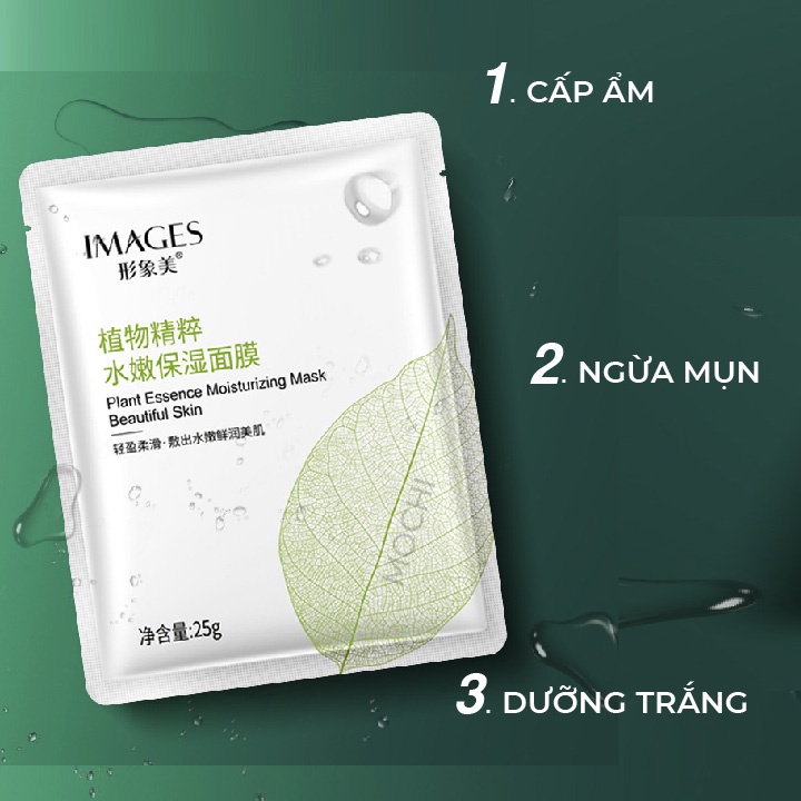 Mặt Nạ Lá Trà Thực Vật Giảm Mụn Kiềm Dầu l Dưỡng Trắng Da l Cấp Ẩm Mask Giấy Đắp Mặt Images Nội Địa Trung MOCHI SHOP