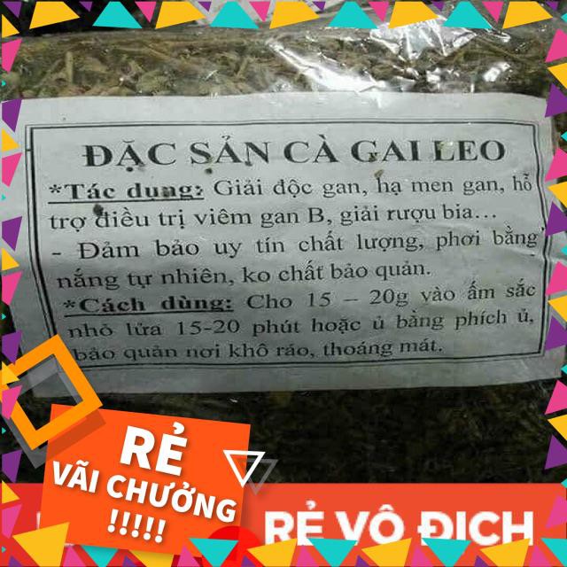 Cà gai leo, giải độc, hạ men gan, làm mát gan, bảo vệ lá gan cho gia đình, thảo dược sạch 1kg