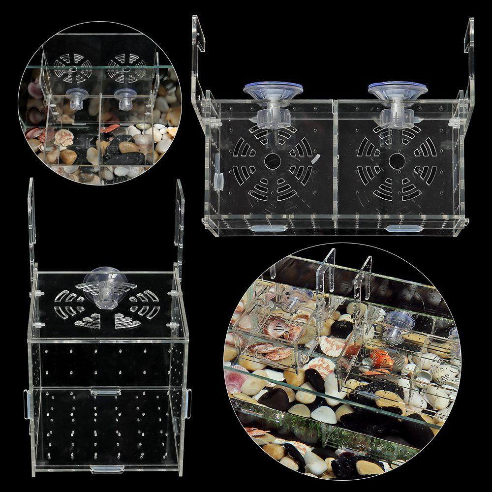 DORAW Hộp Nuôi Cá Cách Ly Tiện Lợi