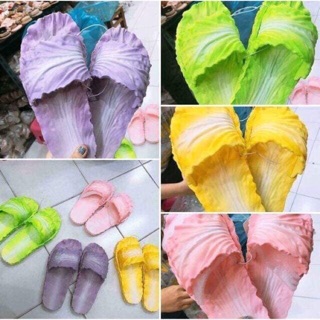 Combo 6 đôi bắp cải