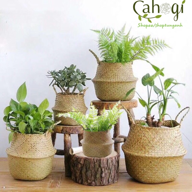 Giỏ Cói Trồng Cây Chất Lượng Cao