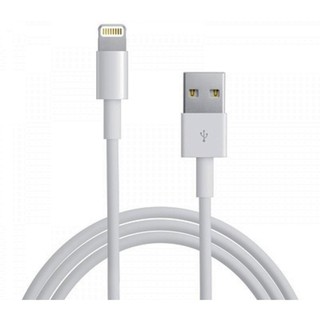 Combo 2 sợi dây cáp sạc IP