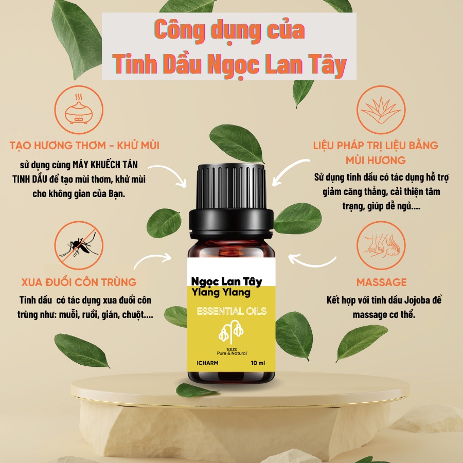 Tinh dầu xông phòng 10ml, đuổi muỗi - thơm phòng iCHARM - Có giấy kiểm định chất lượng