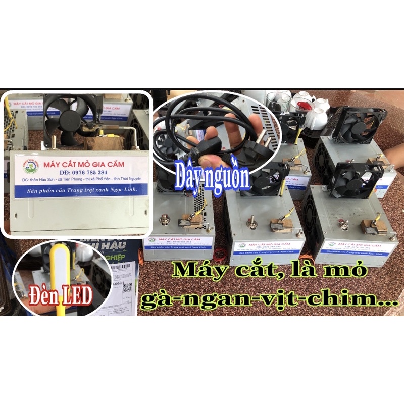 Cắt mỏ gà, ngan, vịt dễ dàng/an toàn/ bền bỉ / tiết kiệm /hiệu quả