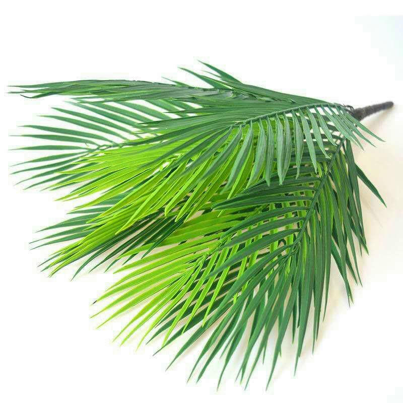 Cây dừa giả-Bụi cây dừa cao 50CM