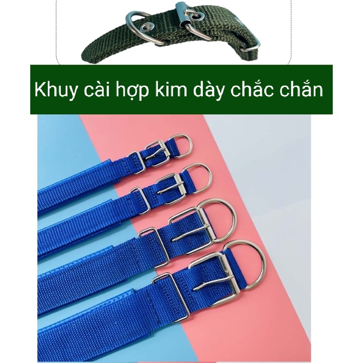 [Chuẩn như hình] Vòng cổ cho Chó Lót Đệm Da Cao Cấp (Vòng Cổ cho Chó To, Đai cổ cho Chó Siêu Lớn)