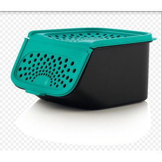 Hộp trữ thực phẩm Garlic 2.3L Tupperware màu xám