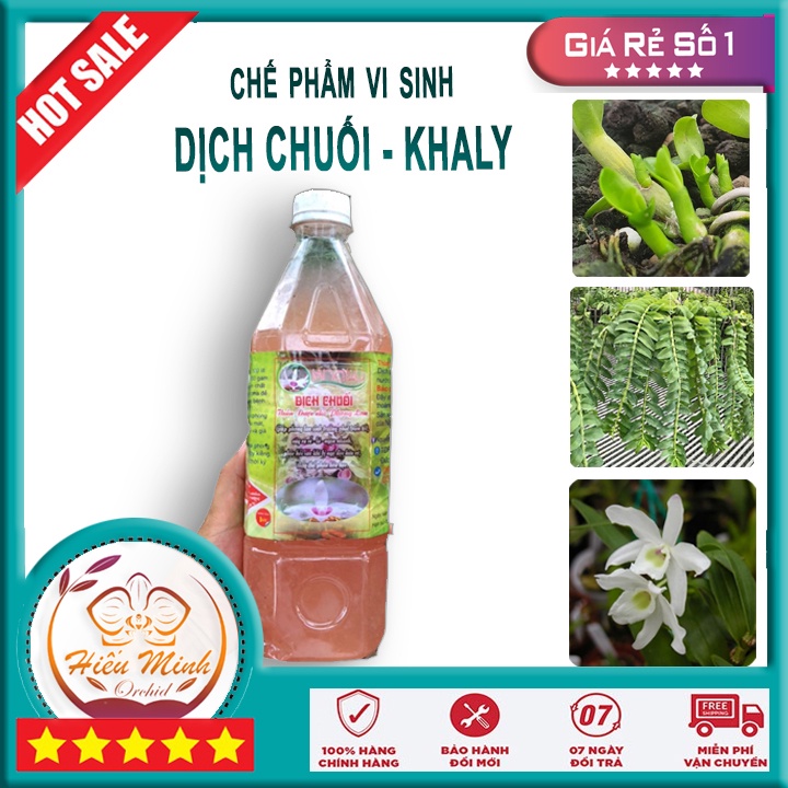 Dịch Chuối KHALY, Chế phẩm sinh học phân cho Hoa Lan loại TỐT, Làm, cây cảnh và hạt giống, Bền, Đẹp, Xanh, Chất, Lượng