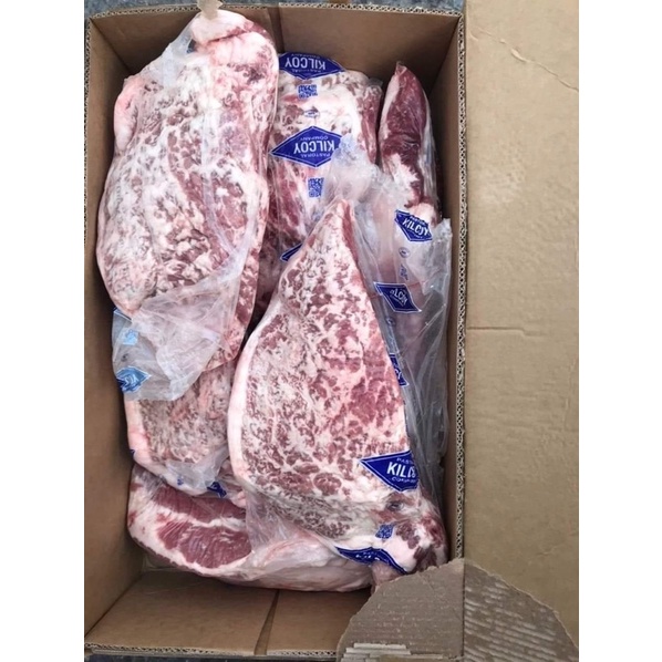 𝗚𝗨̀ 𝗛𝗢𝗔 𝗕𝗢̀