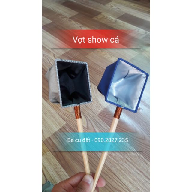 Vợt Show Cá Guppy - Beta