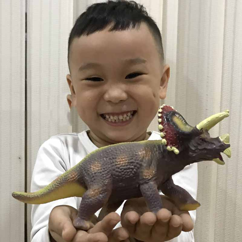 Mô Hình Đồ Chơi Khủng Long Tyrannosaurus Stegosaurus Dành Cho Bé Trai