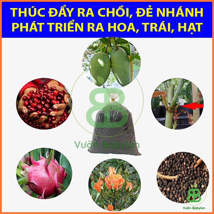 Phân Bón DAP 1KG Giúp Cây Ra Rễ, Đâm Chồi Mạnh