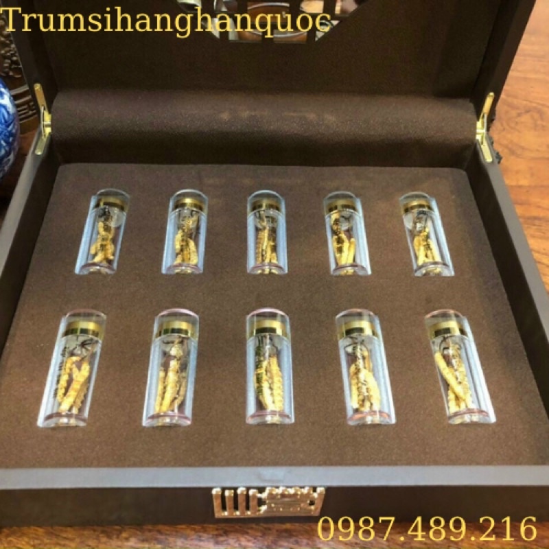 Đông Trùng Hạ Thảo Na Khúc Tây Tạng Nguyên Con Hộp 20 Con 10g