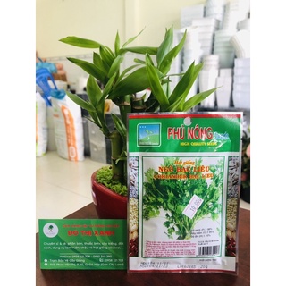 Hạt giống ngò rí , gói 20gr