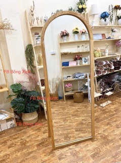 Cây trầu bà lá xẻ 65cm