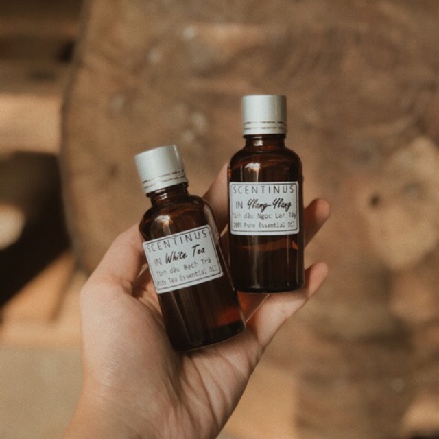 TINH DẦU BẠCH TRÀ - WHITE TEA 30ML