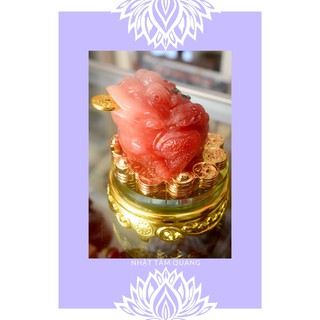 Thiềm thừ bột đá phong thủy