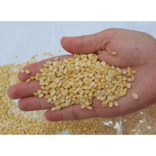 Đậu xanh cà tách vỏ không tẩm màu.
