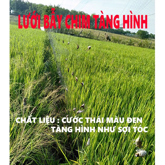 20 mét lưới bẫy chim ri , sắc ô , khuyên , sẻ ( lỗ 3 phân chiều cao 5m 5 dây 4 túi ) lưới cước thái màu đen tàng hình