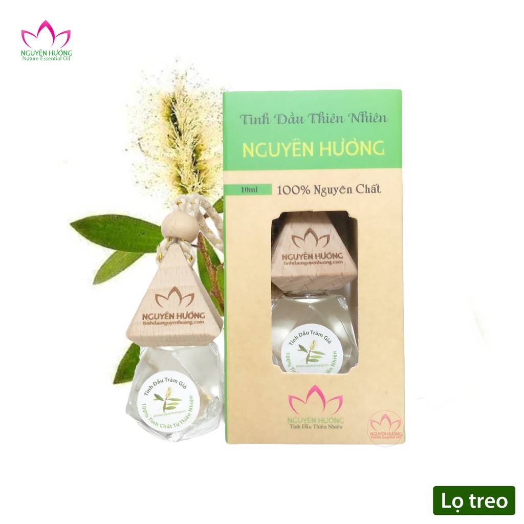 Tinh Dầu Tràm Gió (Cajeput) – 100% nguyên chất ( Treo xe, Xông thơm phòng.. ) | Thế Giới Skin Care