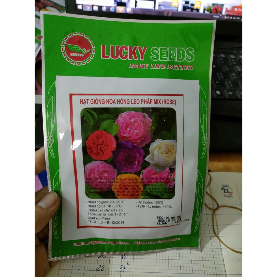 Hạt giống hoa hồng leo Pháp Mix nhập khẩu nhiều màu, sai hoa - 20 hạt