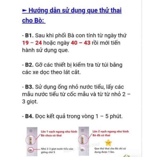 Que thử thai trâu, bò