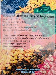 Hạt giống cải bẹ dún