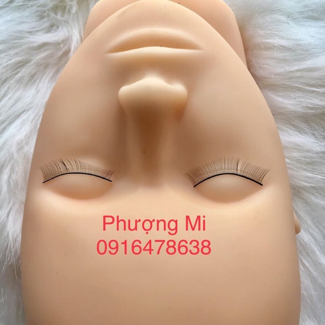 Canh tập nối mi