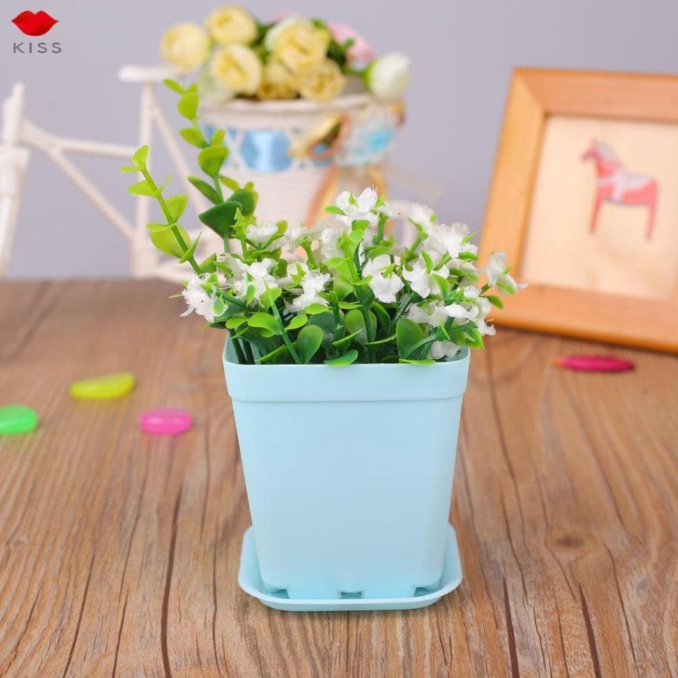 chậu nhựa trồng sen đá cây mini cây nhỏ đường kính chậu 7*7cm 6 màu sắc đẹp mắt