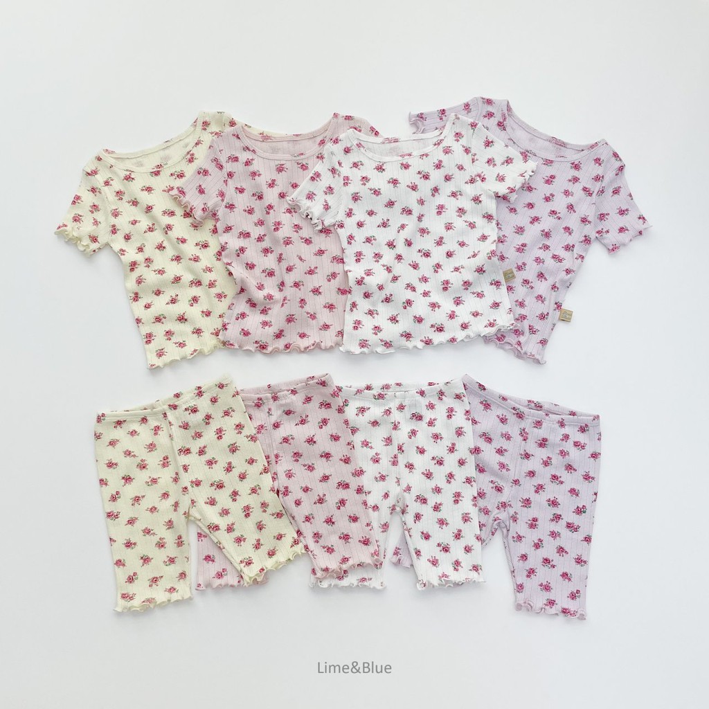 Bộ hoa Rose quần áo trẻ em Hàn Quốc Cao Cấp Lime & Blue