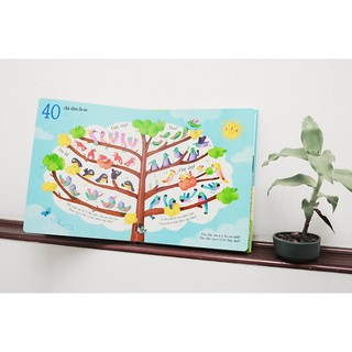 Cuốn Sách Khổng Lồ Về Các Số Đếm