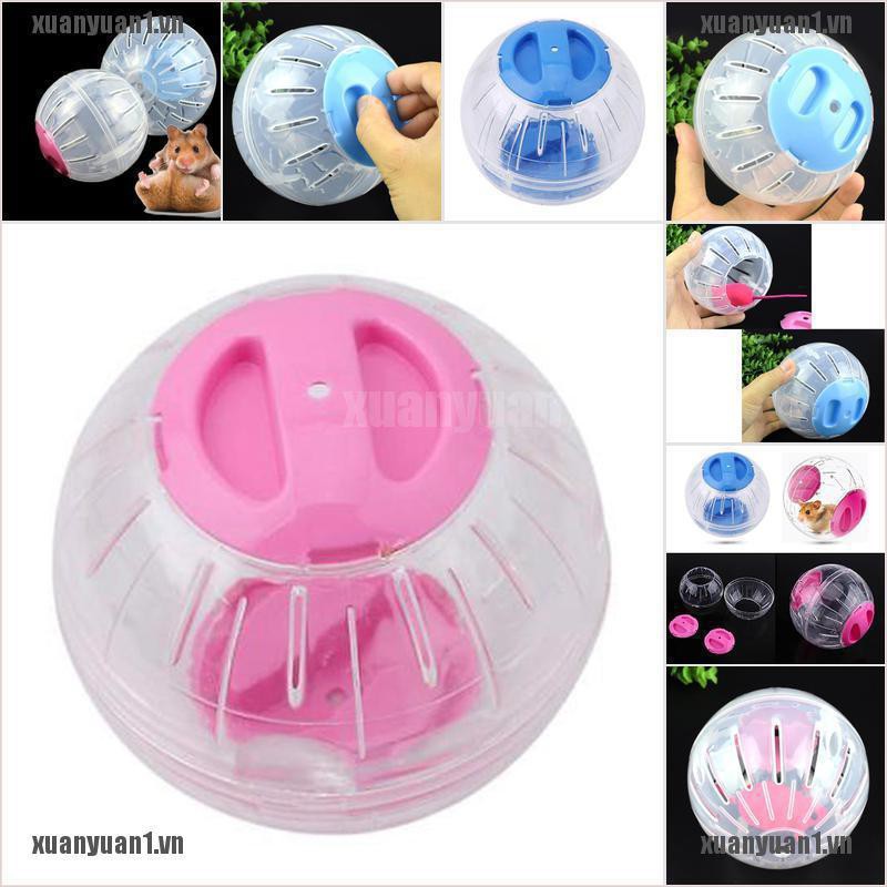 [XUANYUAN1] Quả Bóng Nhựa Đồ Chơi Cho Chuột Hamster