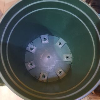 Combo 3 chậu Monrovia Gallon 7