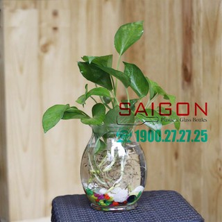 Bình Hoa Thủy Tinh Bầu Dục Trang Trí