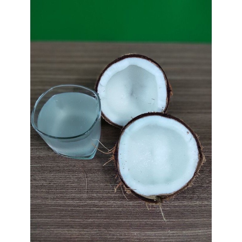 Quả dừa già khô cùi dày, nhiều nước, mỏng vỏ quả to ngon