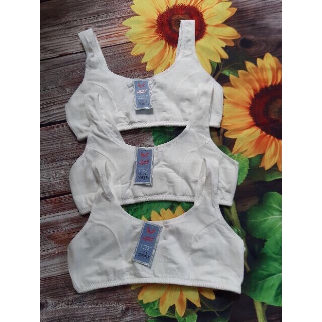 Áo bra dây bản to chất cotton gen mỡ lưng định hình vòng ngực hàng ko có đệm