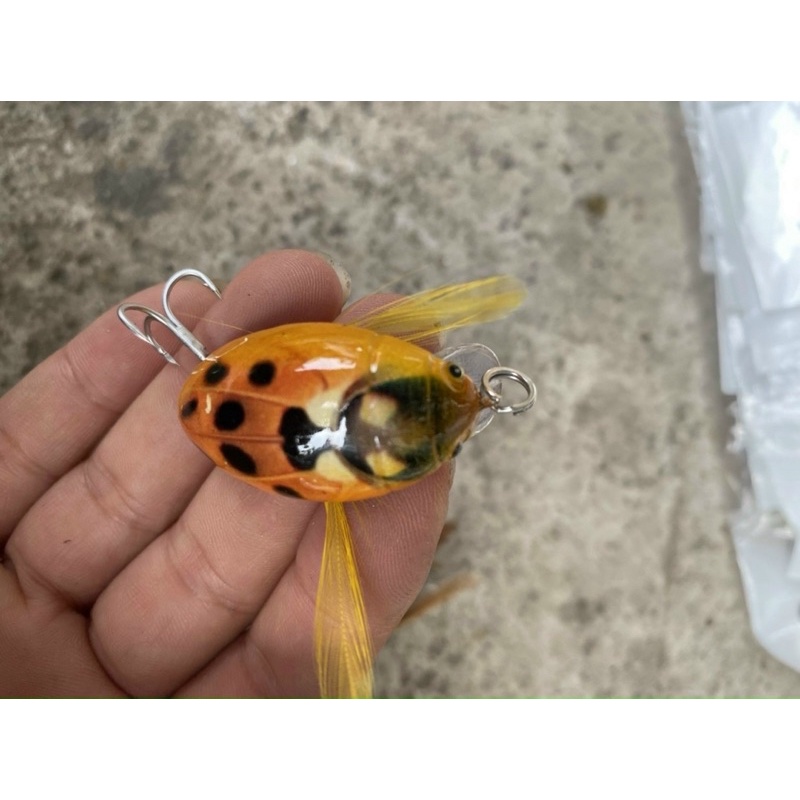 Mồi bọ cam câu lure