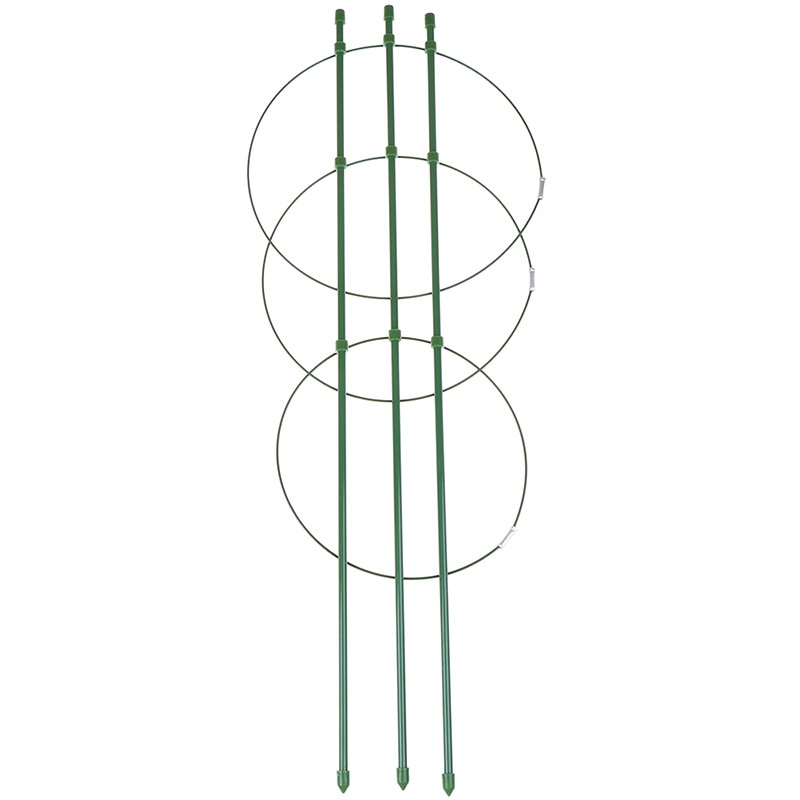 Khung Hỗ Trợ Trồng Cây Dây Leo Dài 60cm Tiện Dụng Cho Sân Vườn