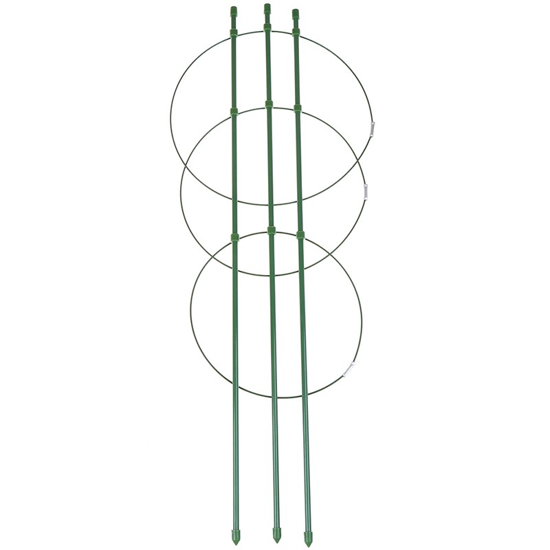 Khung Hỗ Trợ Trồng Cây Leo 60cm Chuyên Dụng