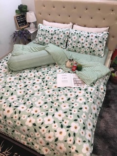 Bộ Drap & Chăn Phao Hoa Mai Xanh