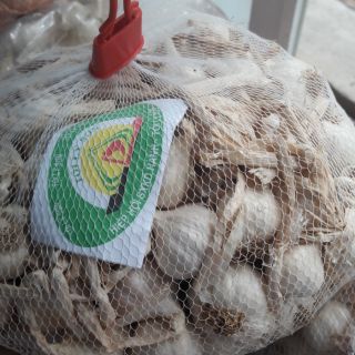 Tỏi lý sơn