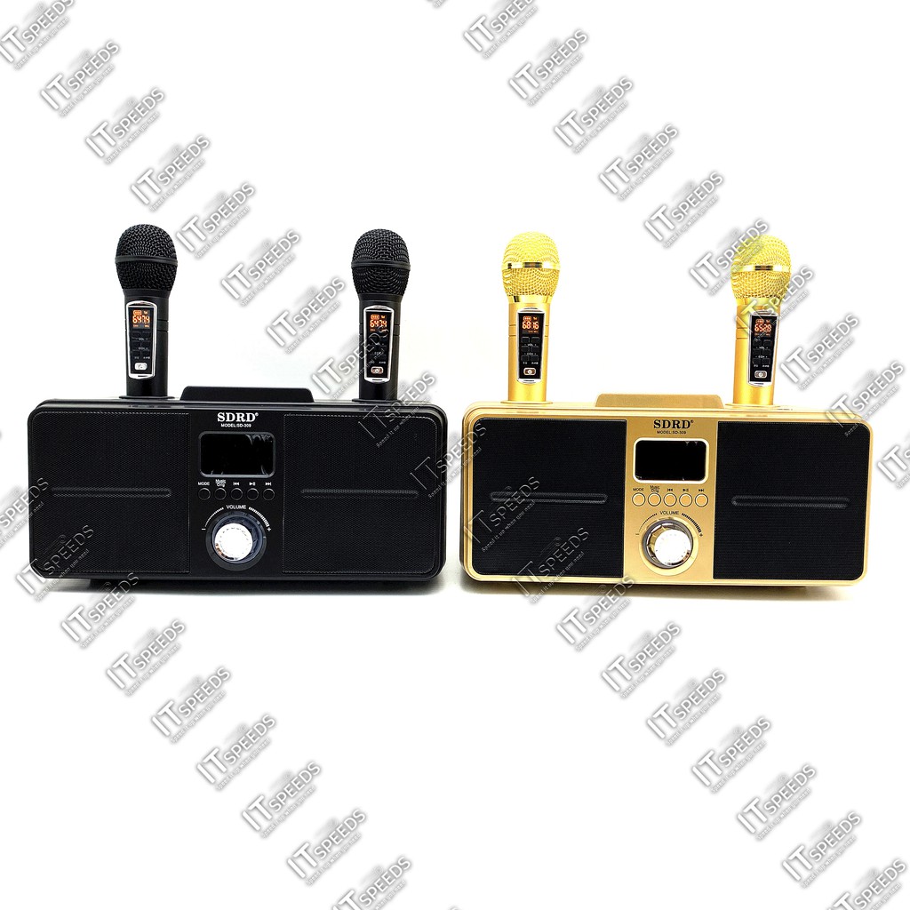 Loa Karaoke Bluetooth SD-309, Kèm 2 mirco không dây - Loại 1 BH 12 Tháng