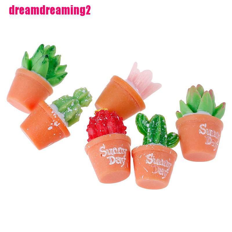 Bộ 5 Bức Tượng Xương Rồng mini Trang Trí