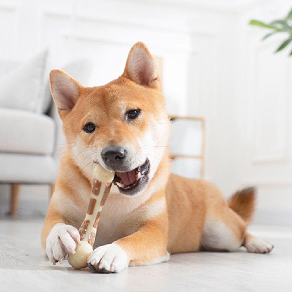 Gậy Đồ Chơi Bằng Nylon + Da Bò Không Độc Hại Dành Cho Thú Cưng