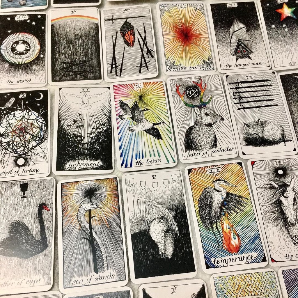 Bài Wild Unknown Tarot Pocket